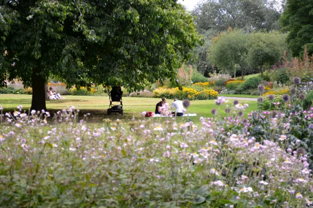 Picnic i Botaniska trädgården. Foto.