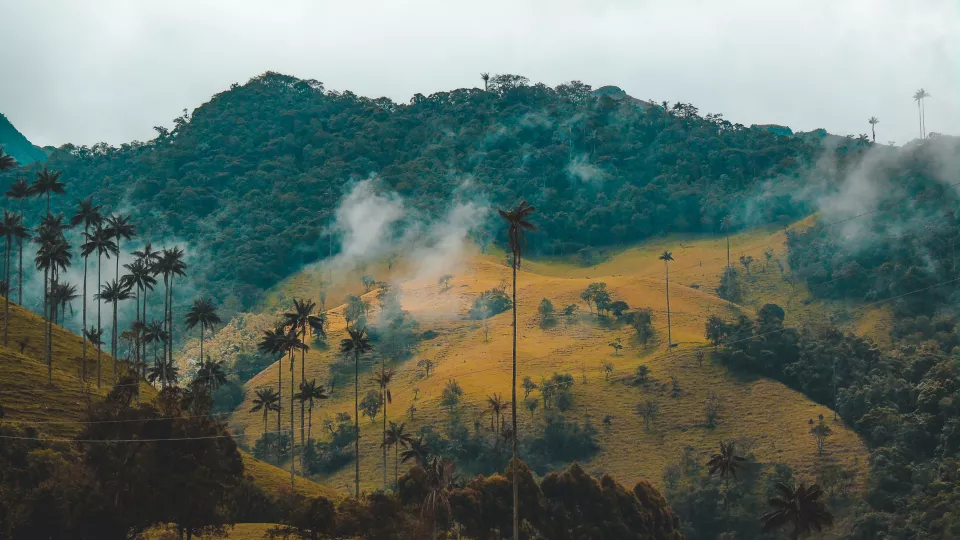 Berg och landskap i Colombia. Foto.