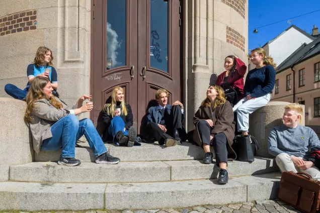 Studenter sitter på en trappa i solen. Foto.