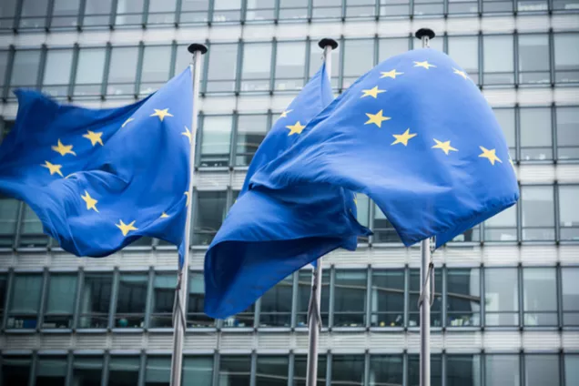 EU-flaggor. Foto.