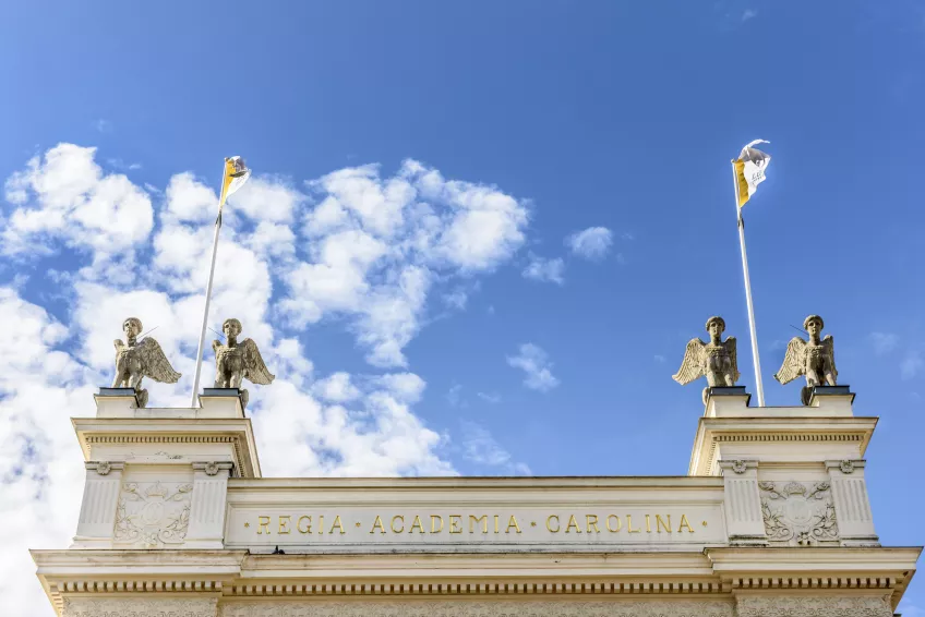 Sfinxerna på Universitetshusets tak mot blå himmel.Foto.